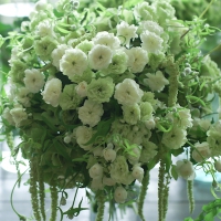 bouquet